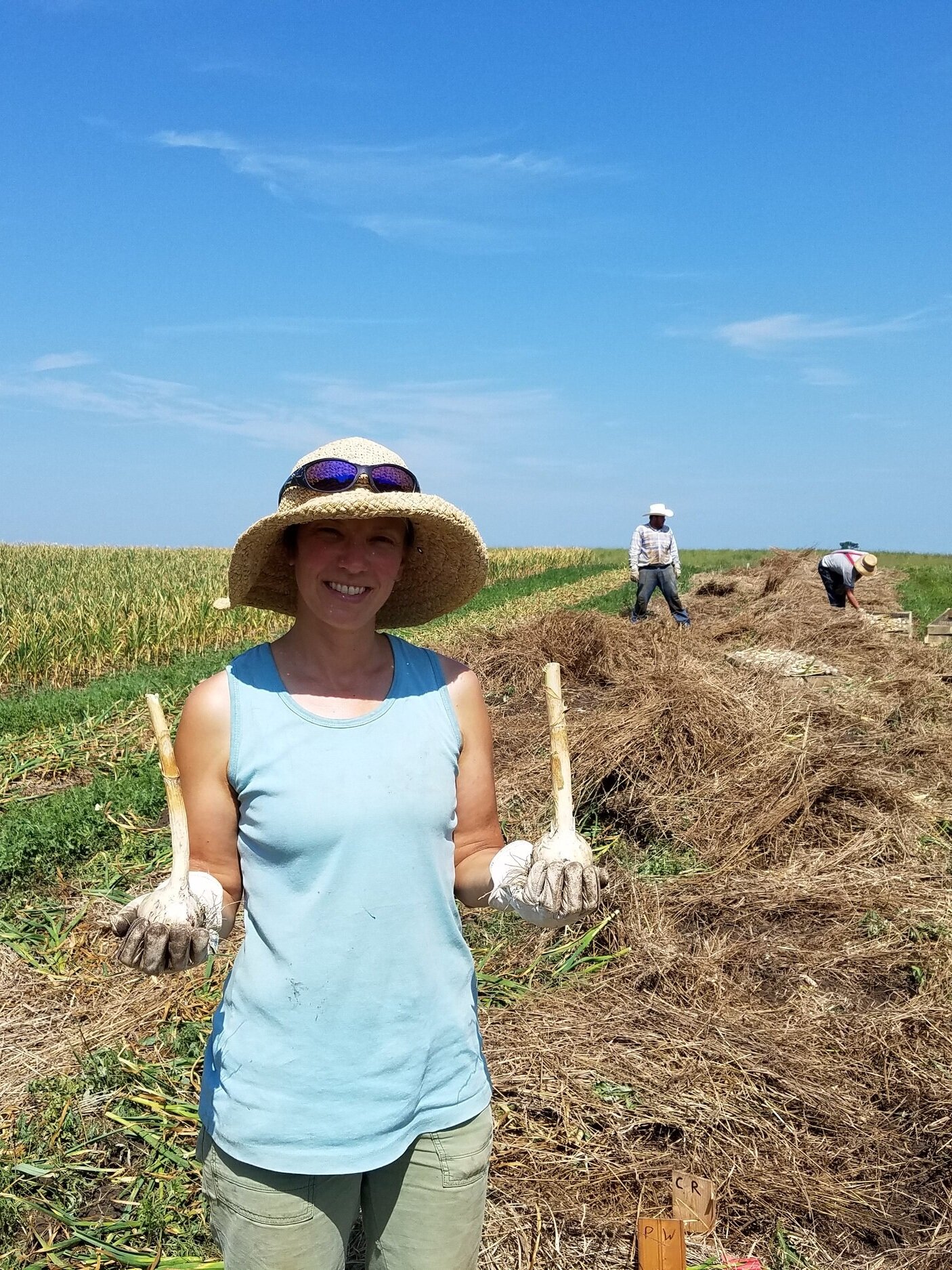 Woman in a straw hat holding freshly harvested garlic bulbs in a field, with agricultural workers in the background and a clear blue sky above.