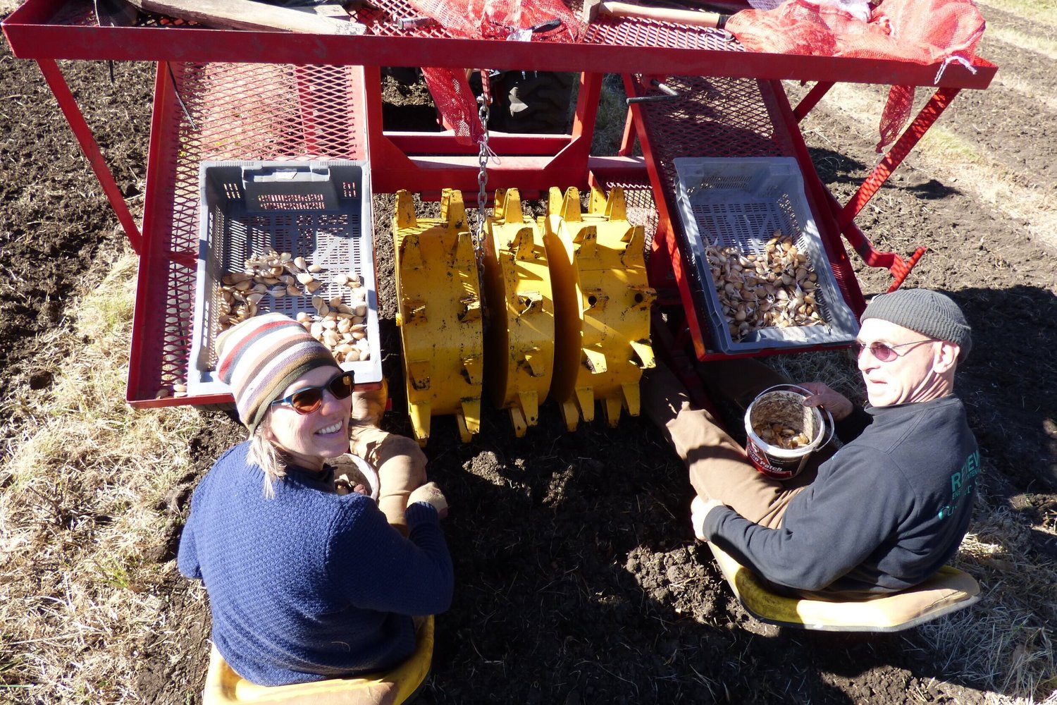 Two farmers sitting on a soil field, operating a garlic harvesting machine. The woman, wearing a striped beanie and sunglasses, smiles at the camera while holding a basket of garlic cloves. The man, in a black shirt and beanie, looks towards the camera, holding a container of garlic. In the background, the machine displays trays filled with harvested garlic and soil.